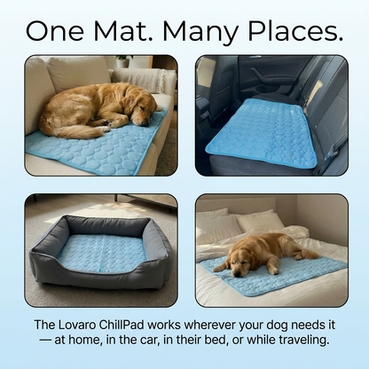ChillPad™  Self-Cooling Pet Mat